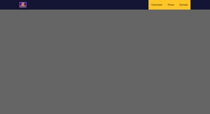 Page screenshot